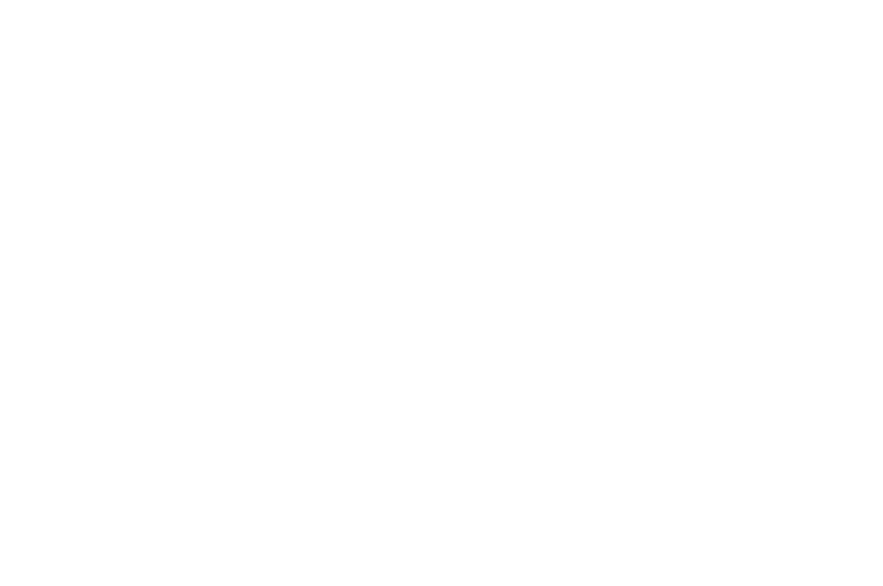 logo icone all the voices
