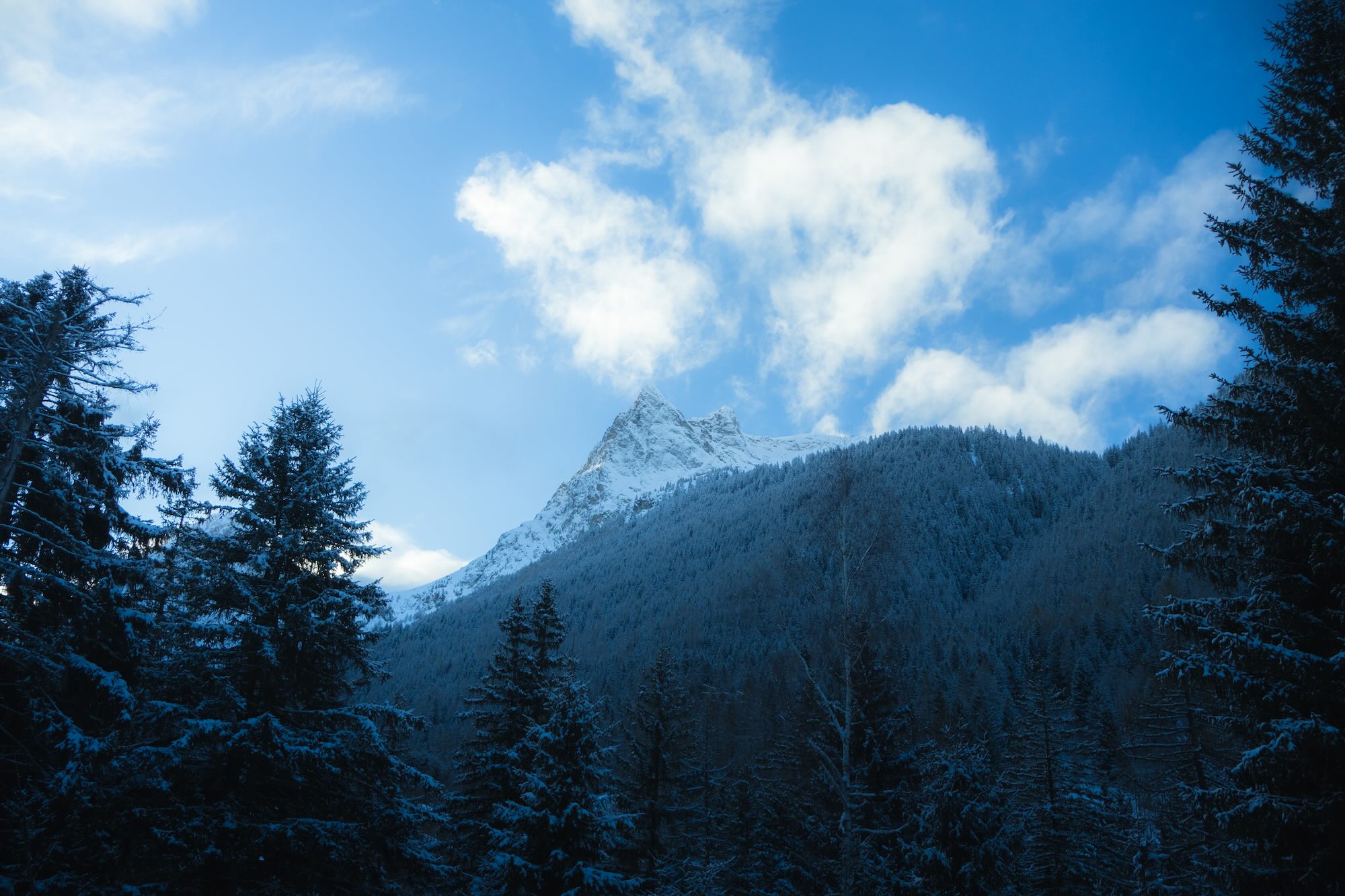 montagne vallorcine photographie