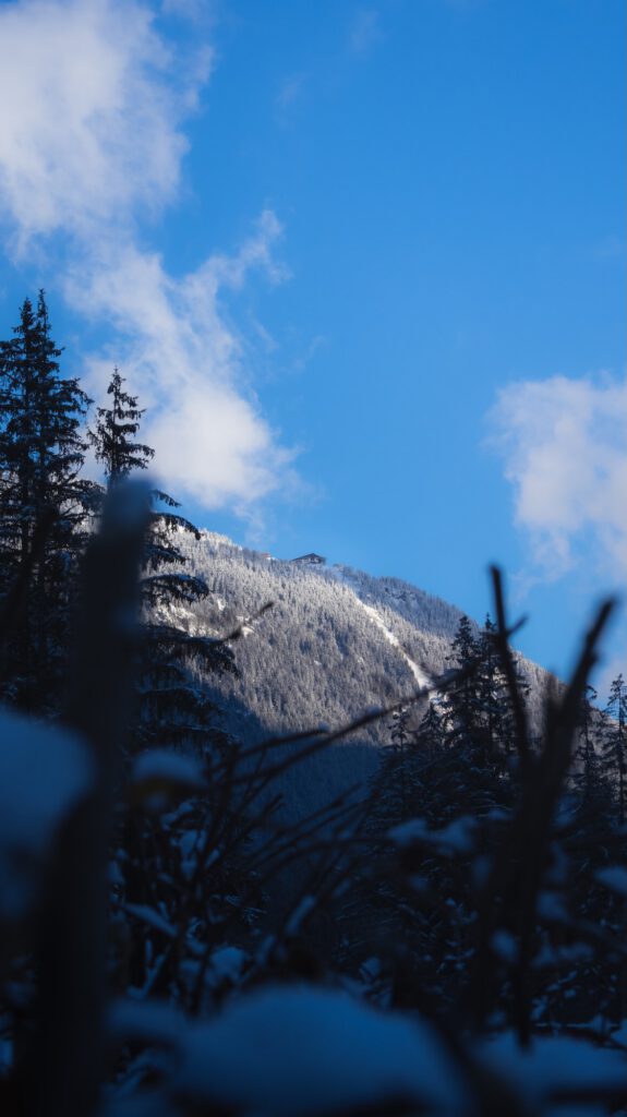 refuge grands montets chamonix photographie