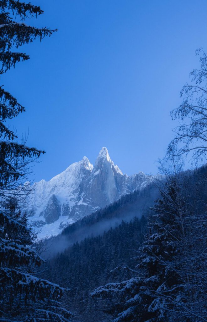 montagne arbres chamonix photographie