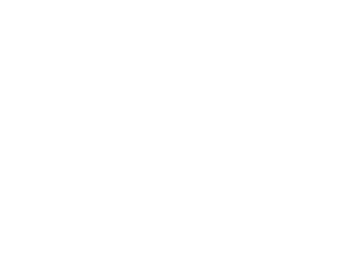 logo icone friskey